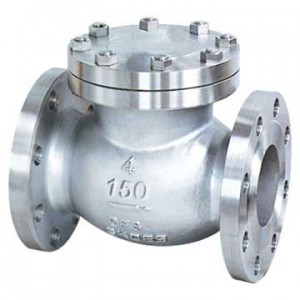 check-valve